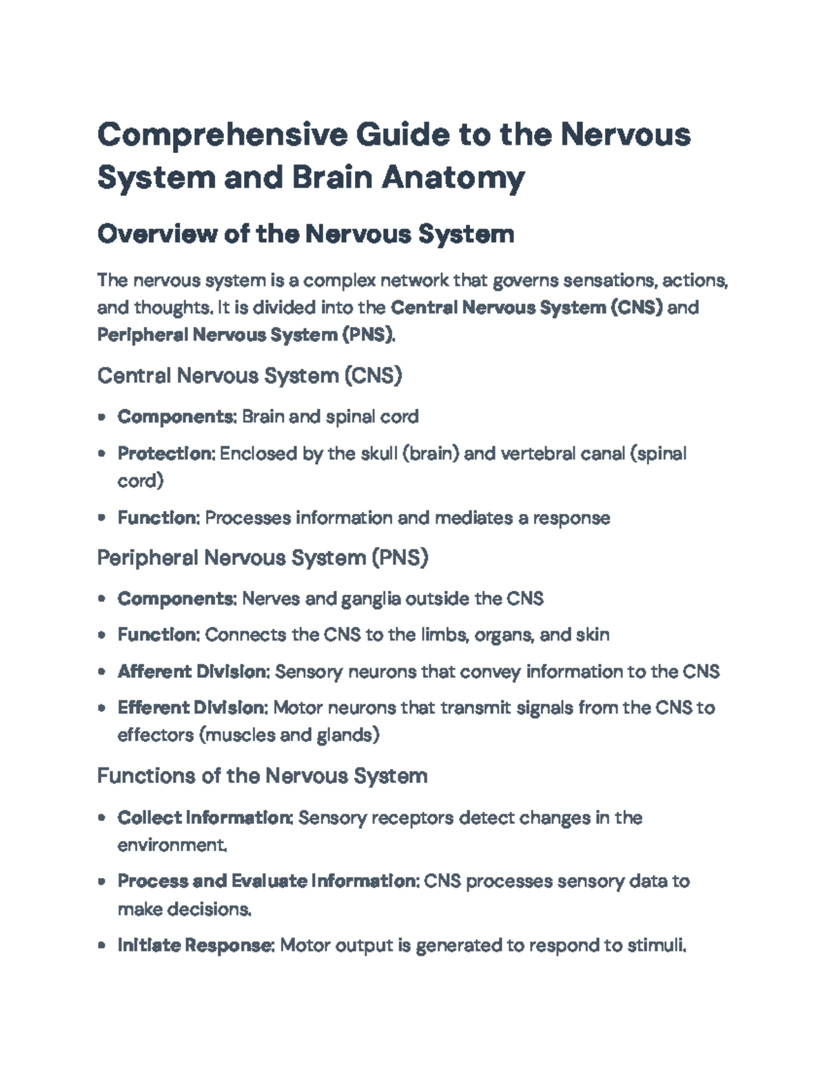 Comprehensive Study of the Nervous System and Brain Anatomy (BIO101 ...