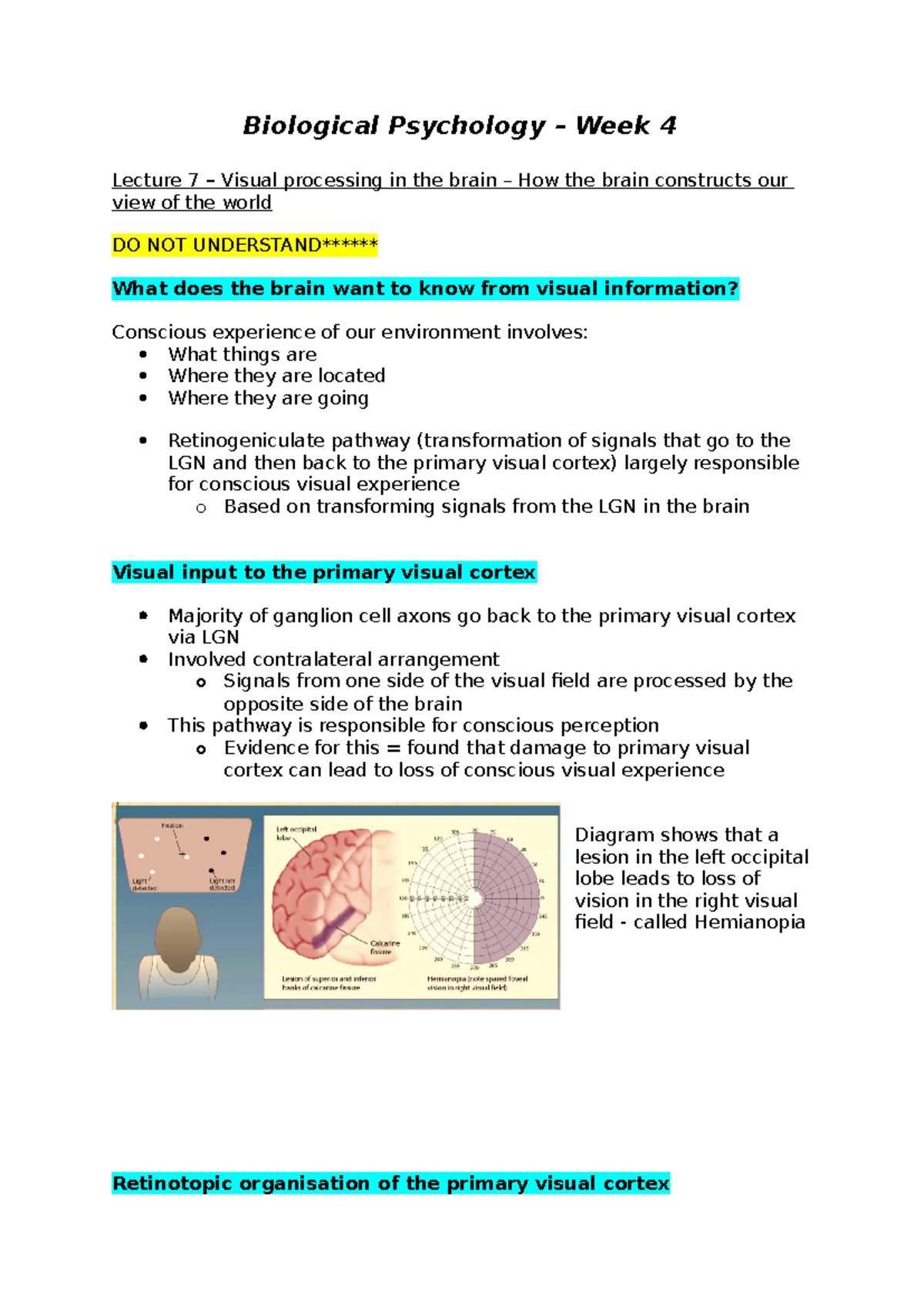 Week 4 Notes - Biological Psychology – Week 4 Lecture 7 – Visual ...