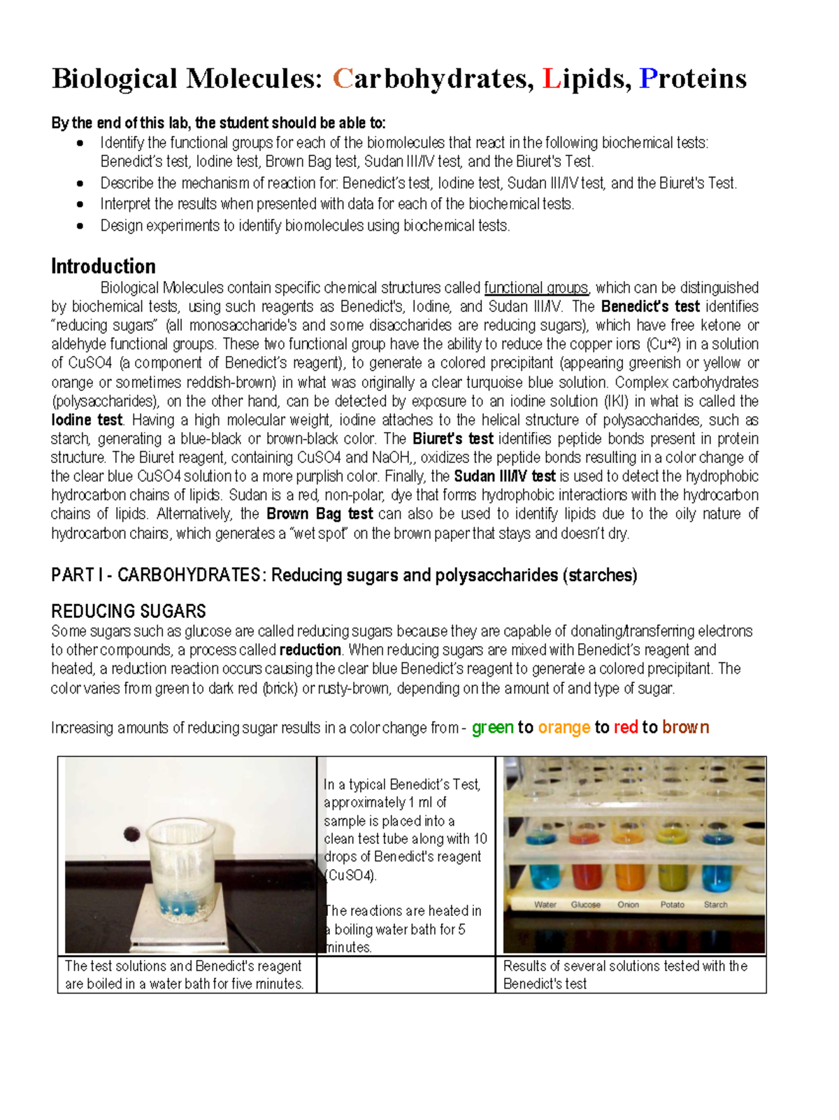 BIO 101 Lab: Exploring Biological Molecules and Their Tests - Studocu