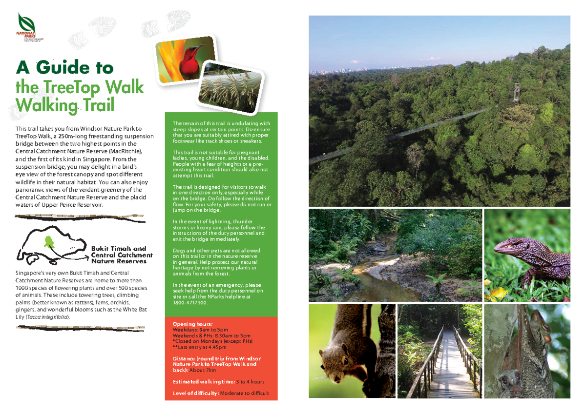 Tree Top Walk eguide LRes - This trail takes you from Windsor Nature ...