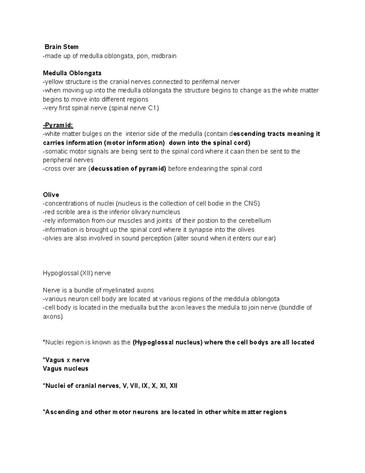 Brain Stem and Cerebellum Overview: Medulla, Pons, and Midbrain - Studocu