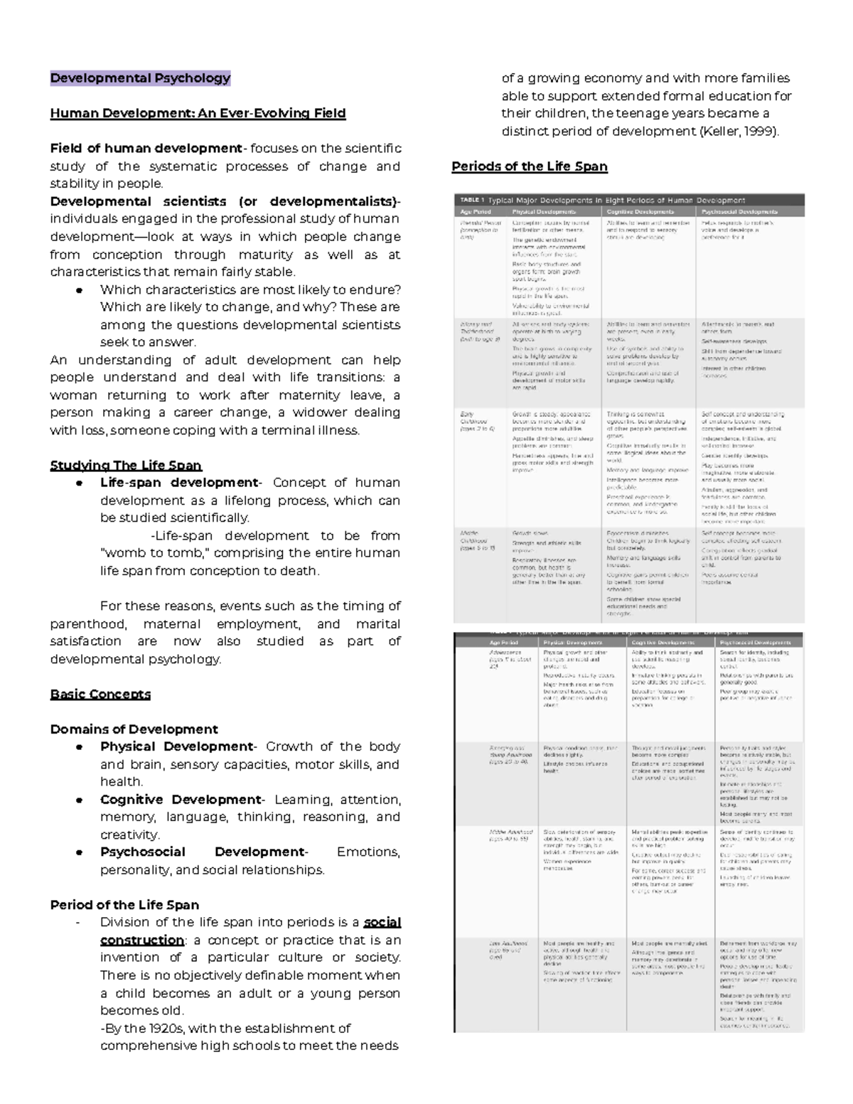 Developmental Psychology Overview: Key Concepts & Psychosocial Stages ...