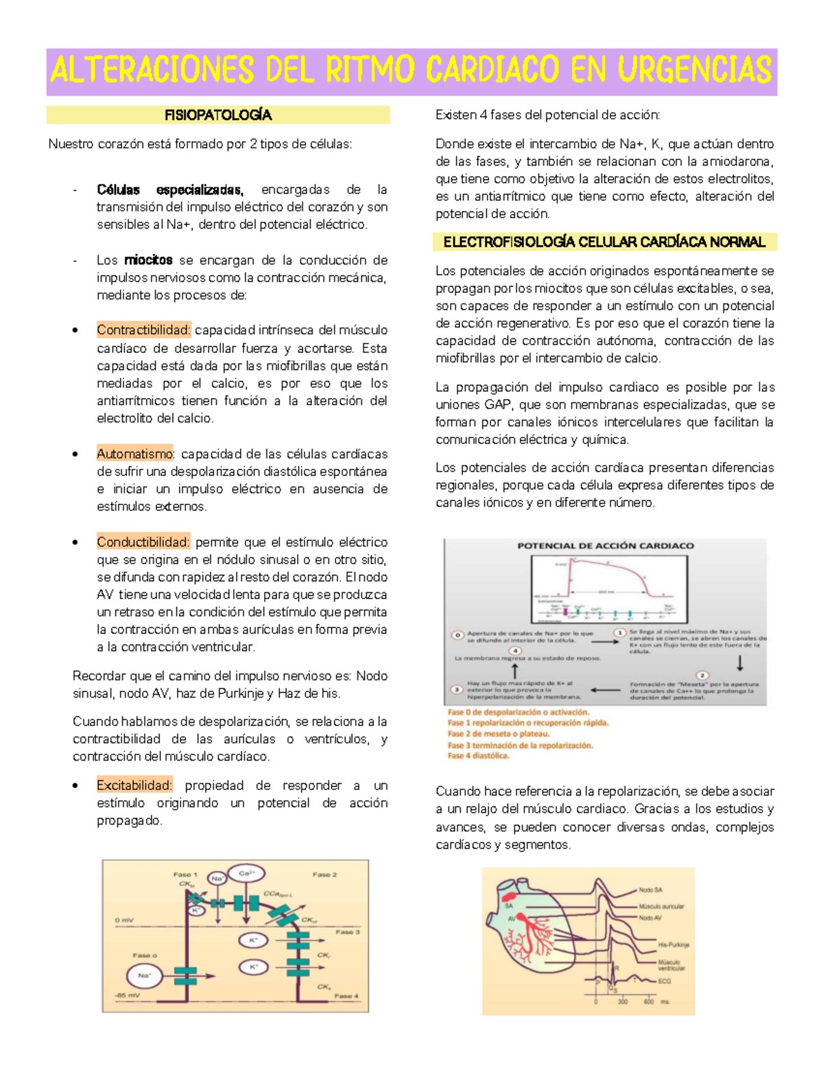 Alteraciones del Ritmo Cardíaco en Urgencias: FISIOPATOLOGÍA y Manejo ...
