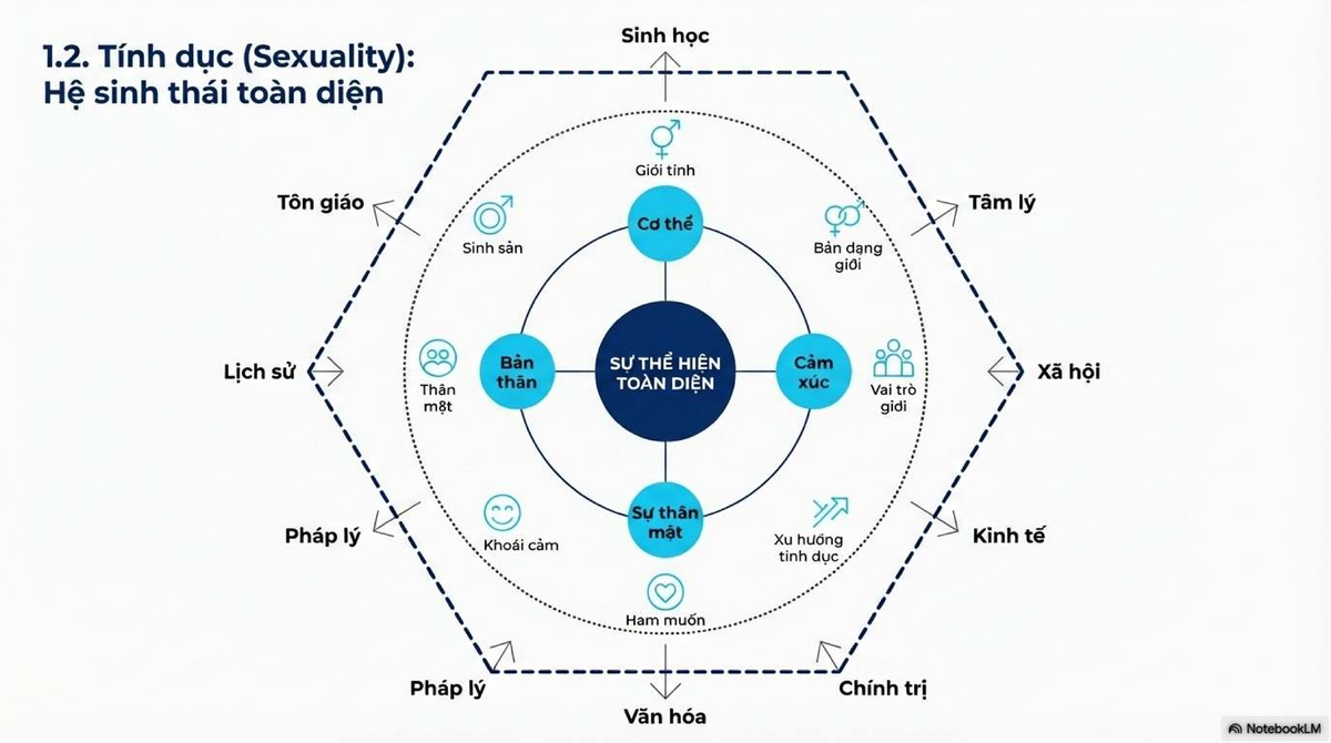 1.2. Sexuality and Gender Dynamics: Insights and Perspectives - Studocu