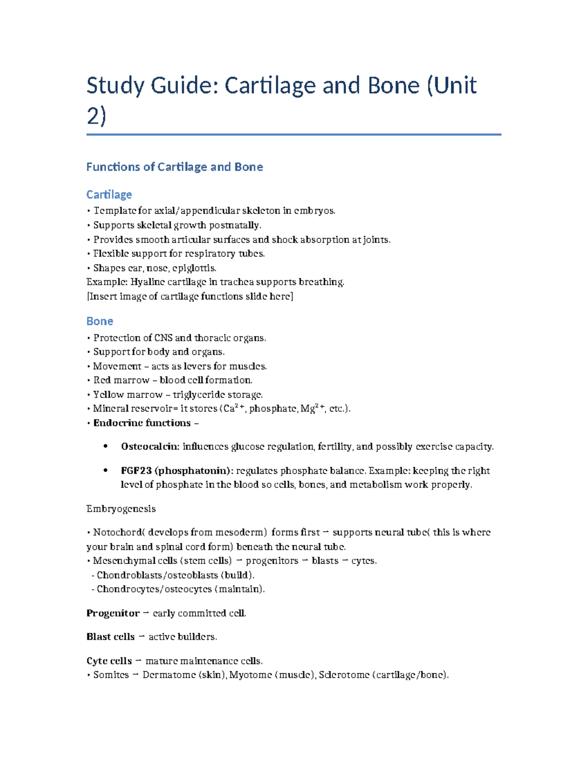 Cartilage and Bone Study Guide (Unit 2): Functions and Growth - Studocu