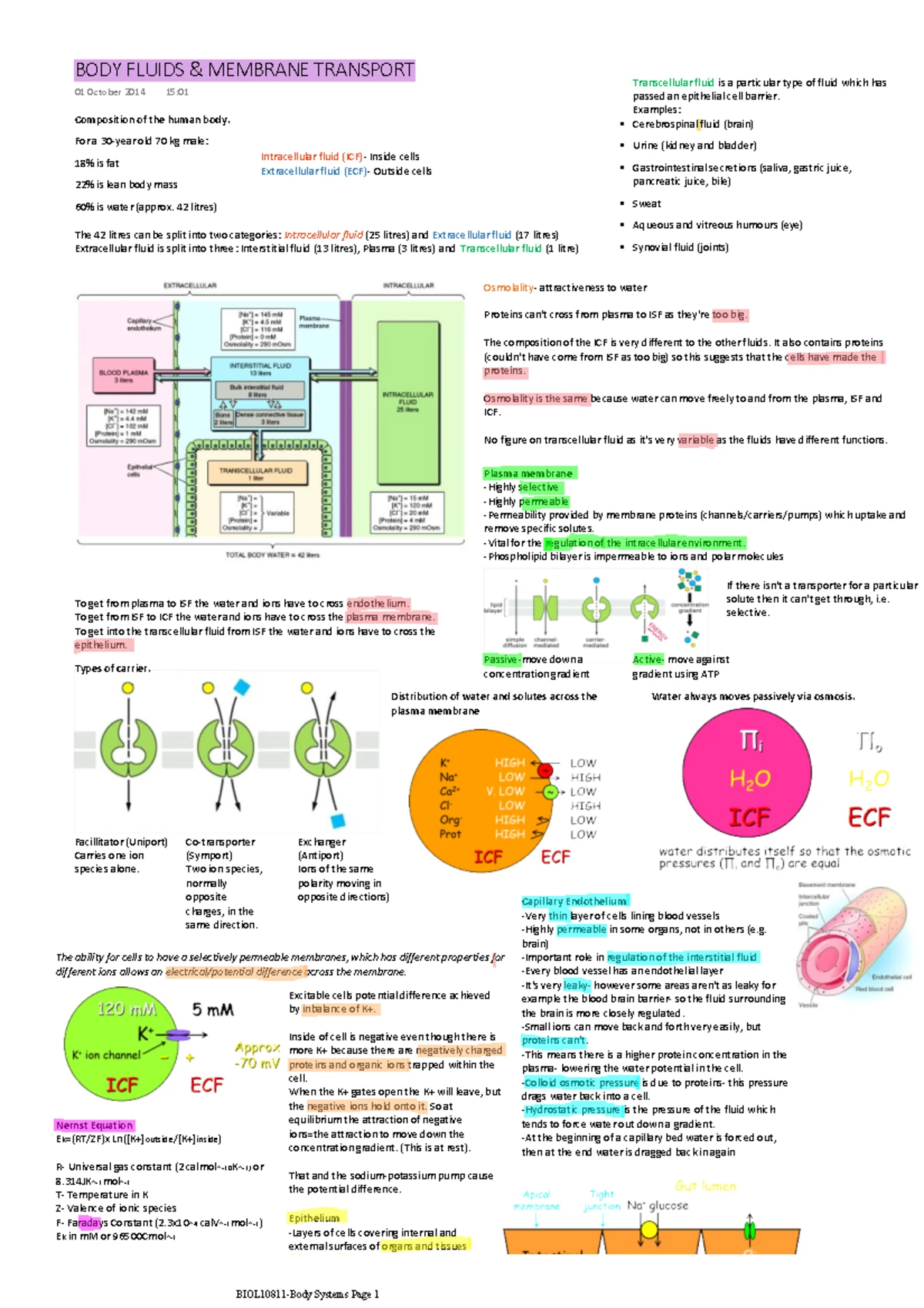 Body Systems BIOL Exam: Instructions and Question Set Guide - Studocu