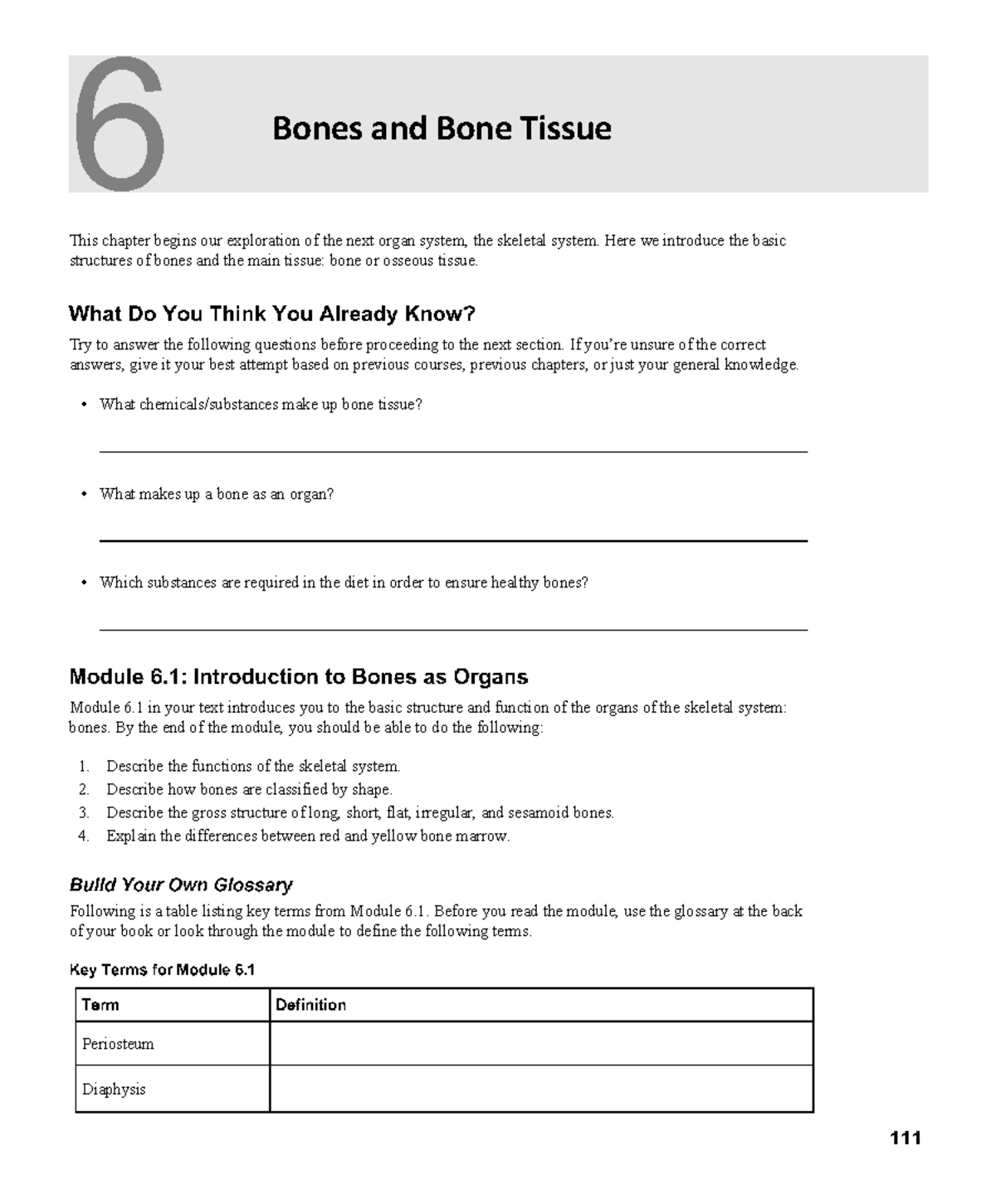 Chapter 6 - Bones and Bone Tissue Overview and Study Guide - Studocu