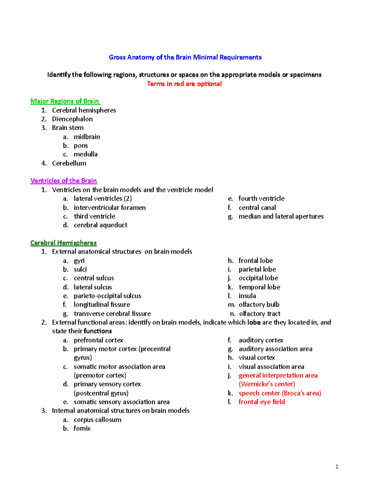 Gross Anatomy of the Brain: Key Regions & Structures Overview - Studocu