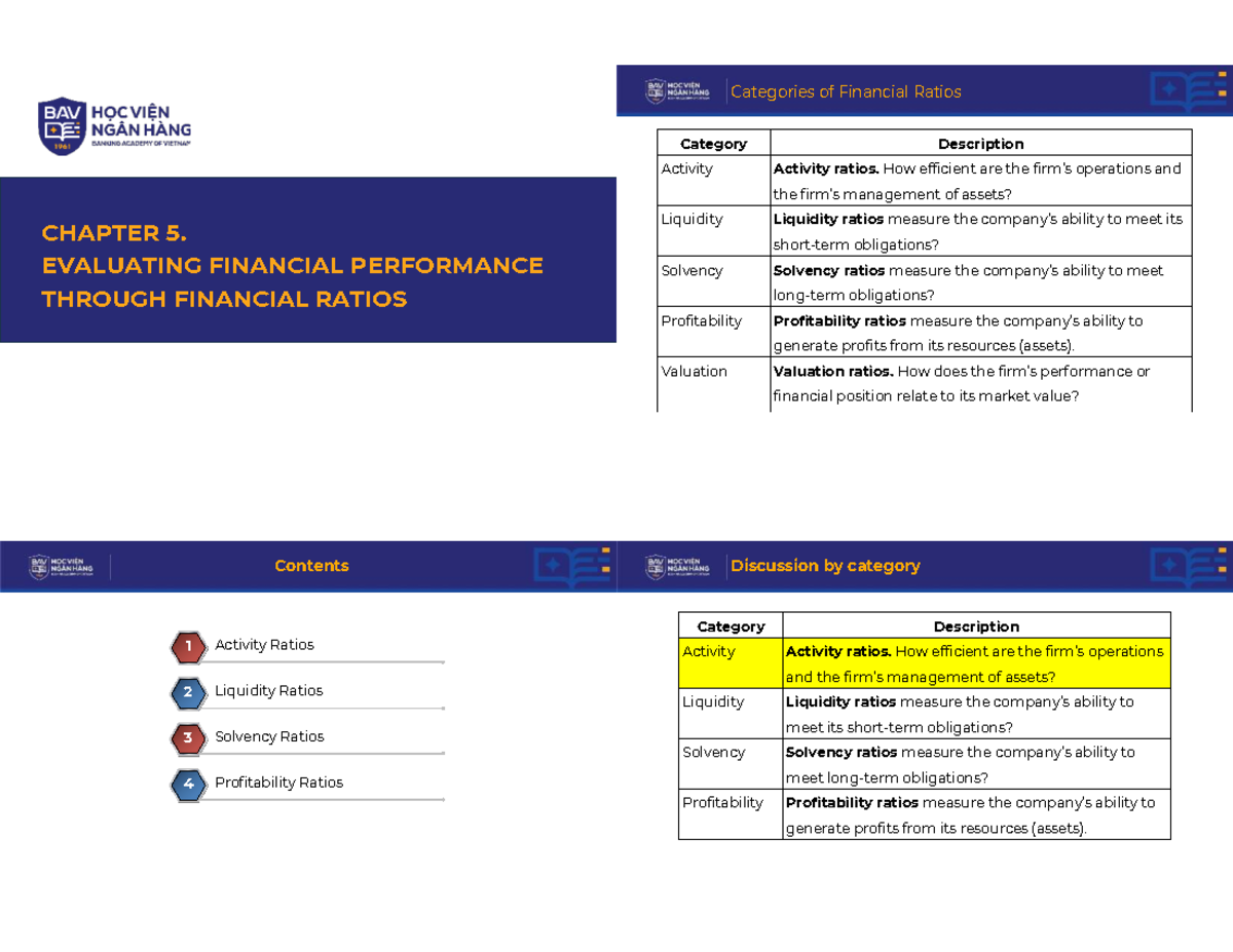 Chapter 5: Evaluating Financial Performance through Ratios (2025 SV ...