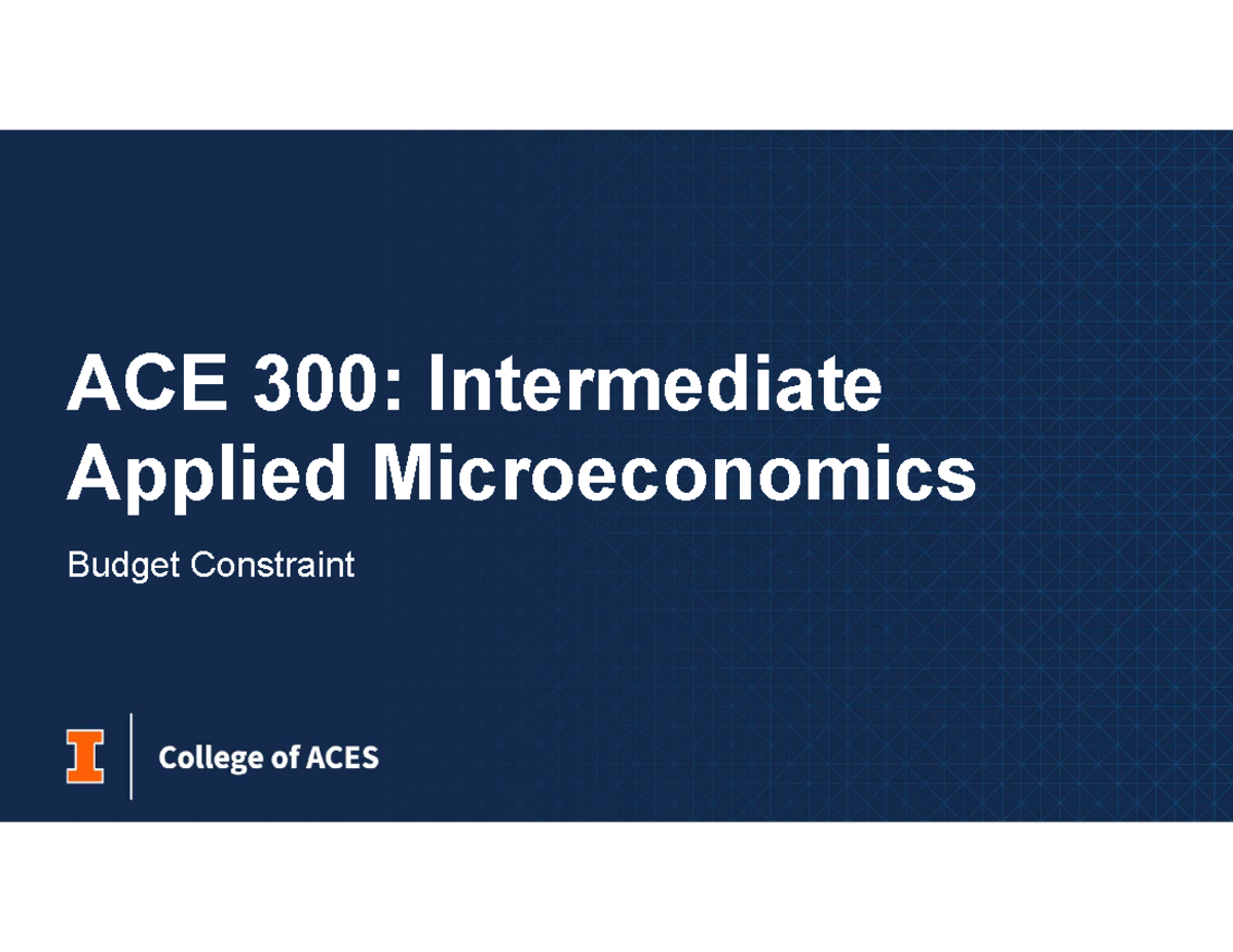 ACE 300: Budget Constraints & Comparative Statics Lecture Notes - Studocu