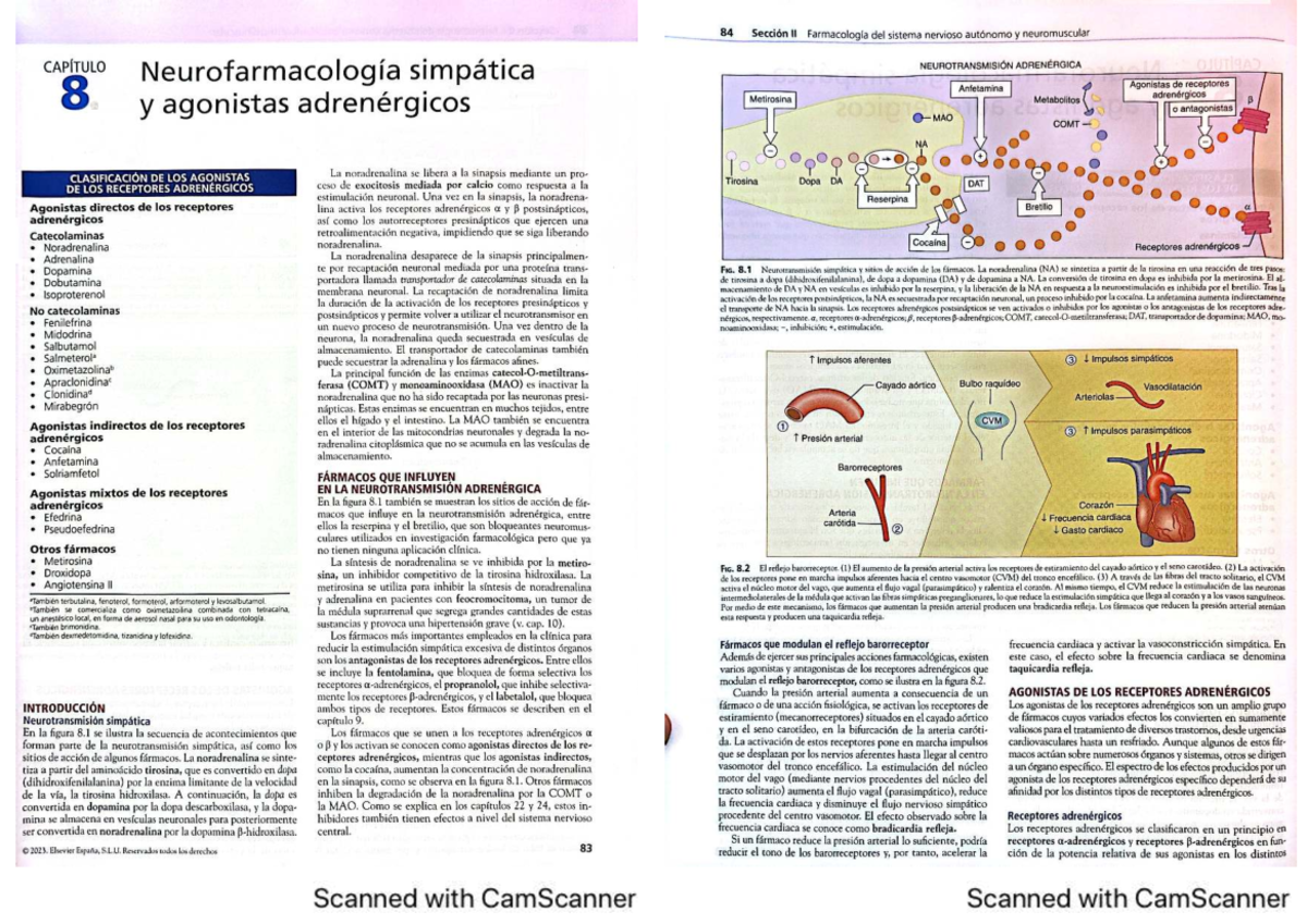 Capítulo 8 y 9: Neurofarmacología Simpática y Antagonistas de los ...