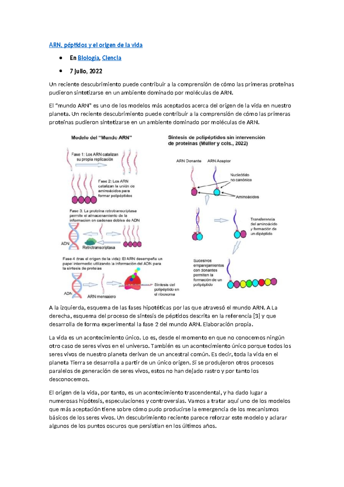 ARN y el Origen de la Vida: Nuevos Descubrimientos en Biología - Studocu