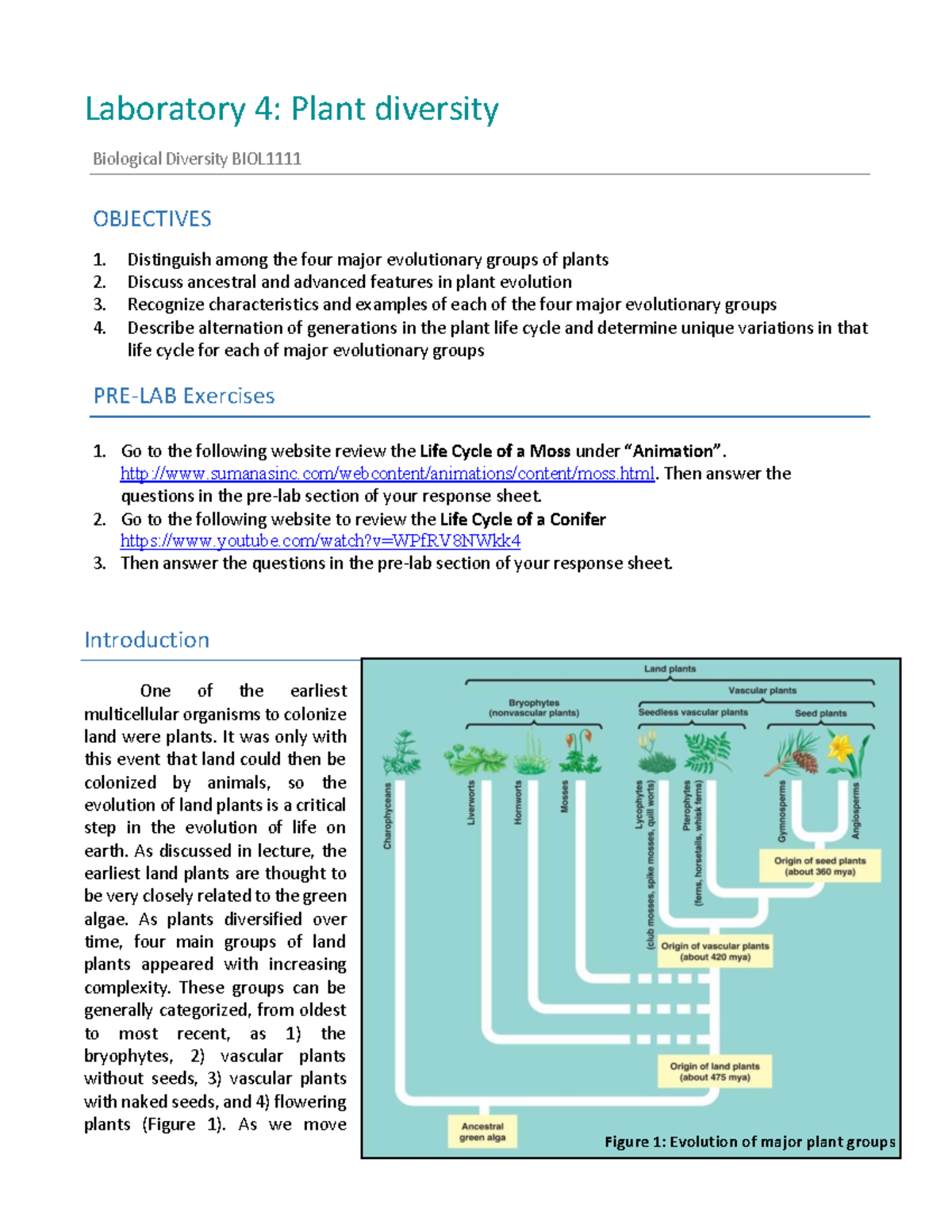 Lab 4: Exploring Plant Diversity and Evolutionary Groups - Studocu