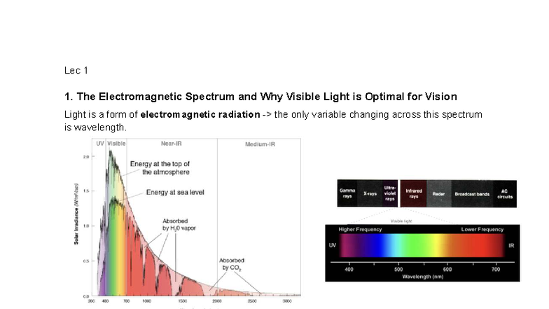 Psyc2016 Lec 1: The Electromagnetic Spectrum & Vision - Studocu