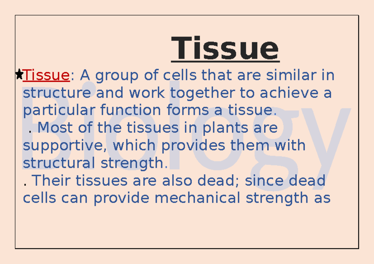 Plant Tissue Types and Functions: A Comprehensive Overview - Studocu