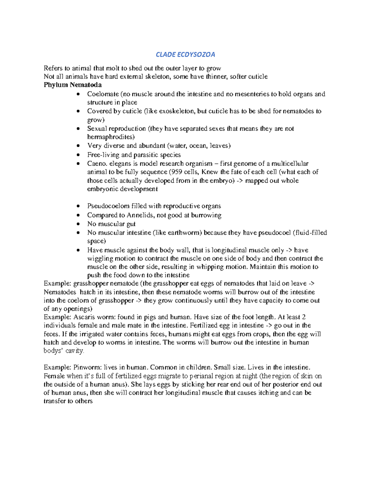 CLADE ECDYSOZOA: Invertebrate Study Notes (In Class) - Studocu