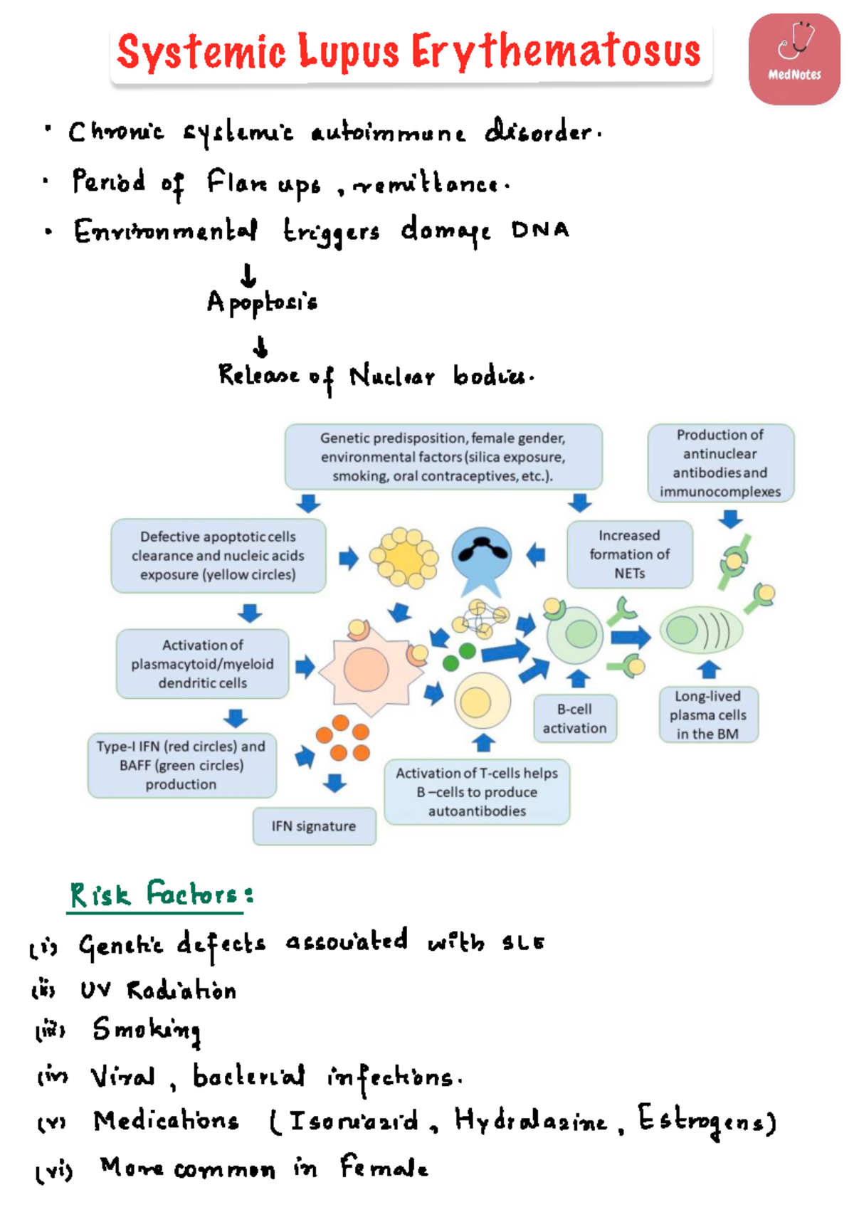 SLE Pathophysiology: Chronic Systemic Lupus Erythematosus Overview ...