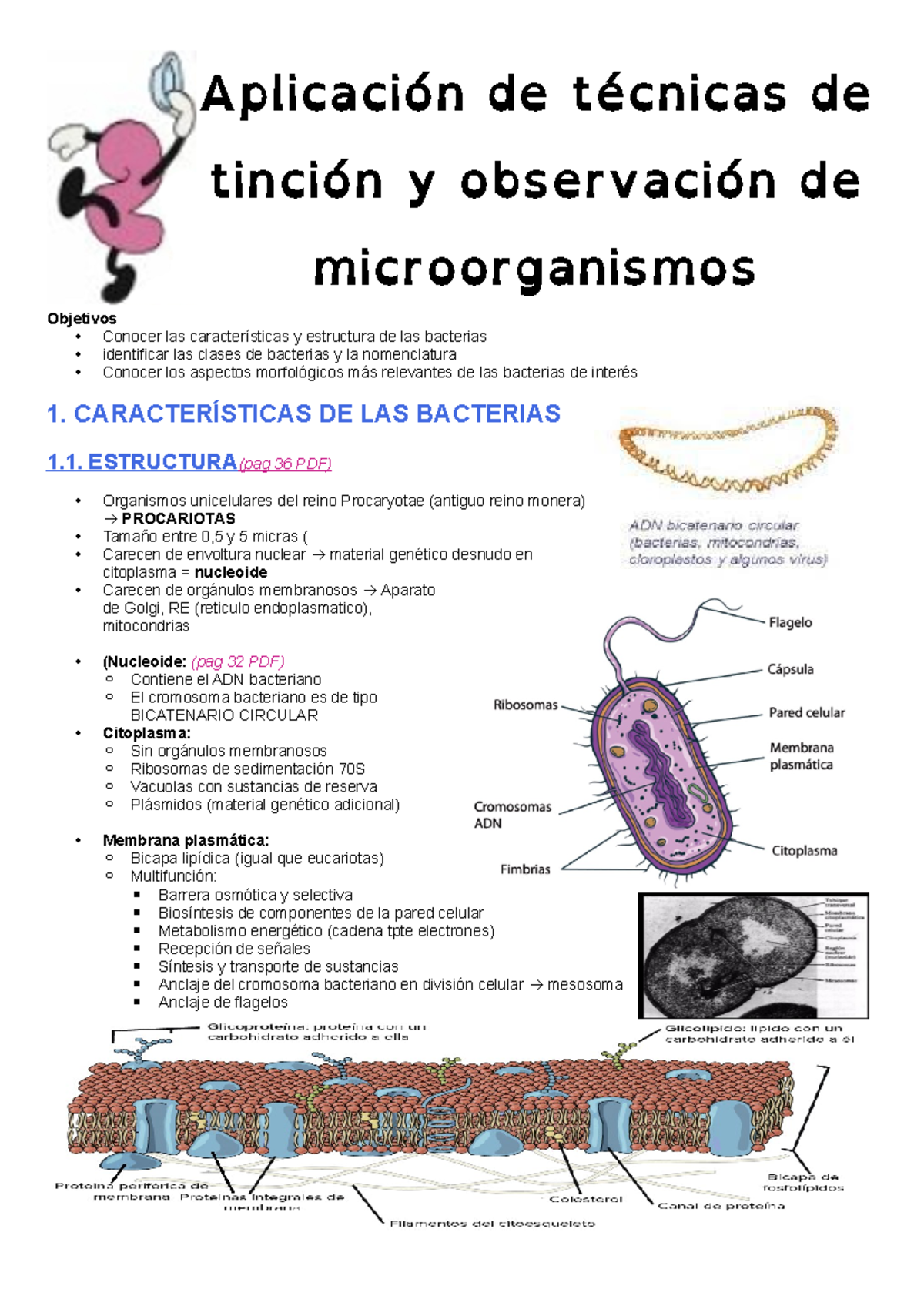Micro - Notas de Microbiología Clínica: Contenidos del Año - Studocu