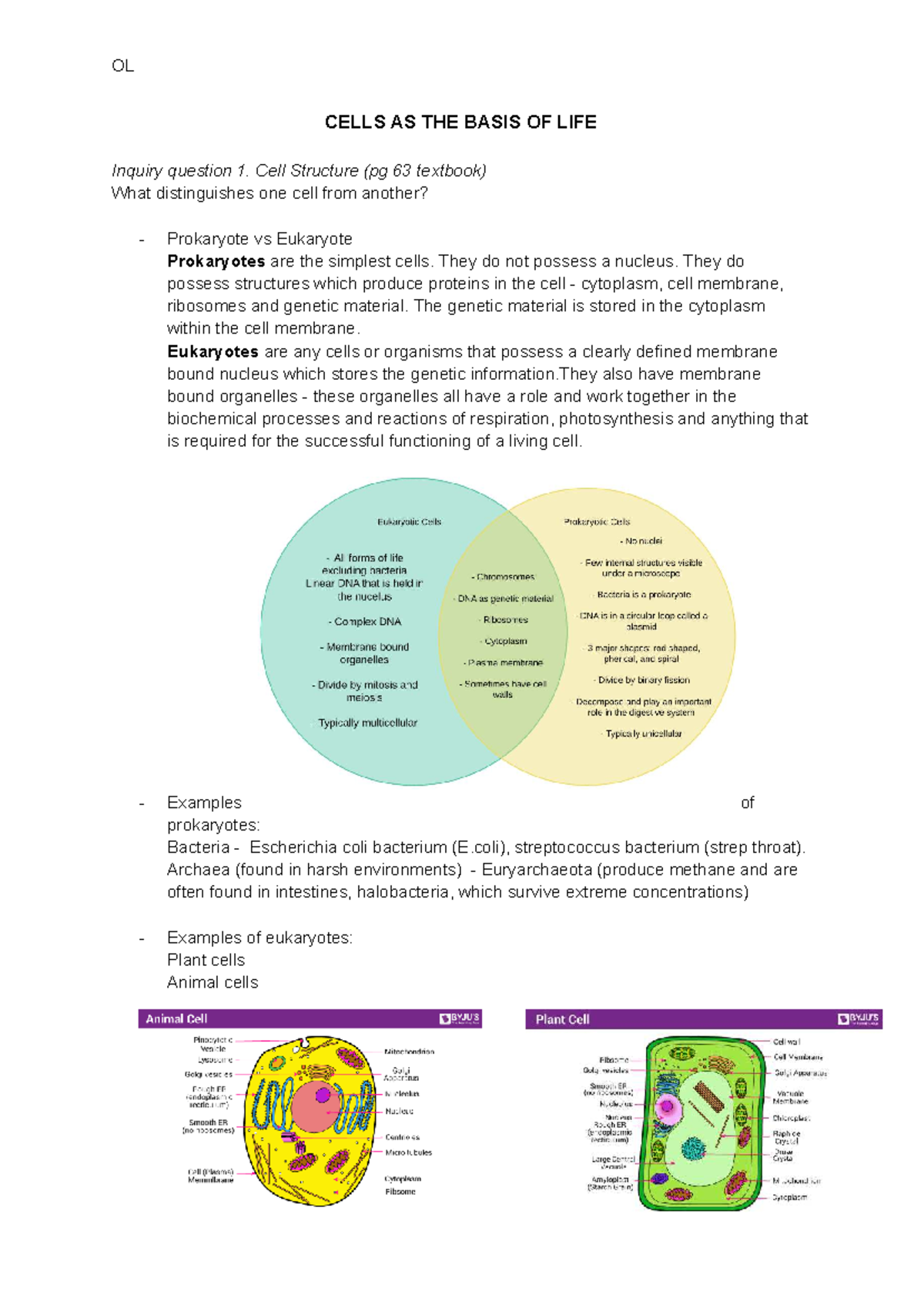 MOD 1 BIO - Year 11 Preliminary Notes on Cell Structure and Function ...