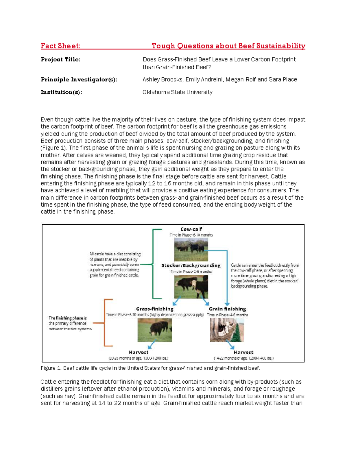 Comparing Carbon Footprint: Grass-Finished vs. Grain-Finished Beef ...