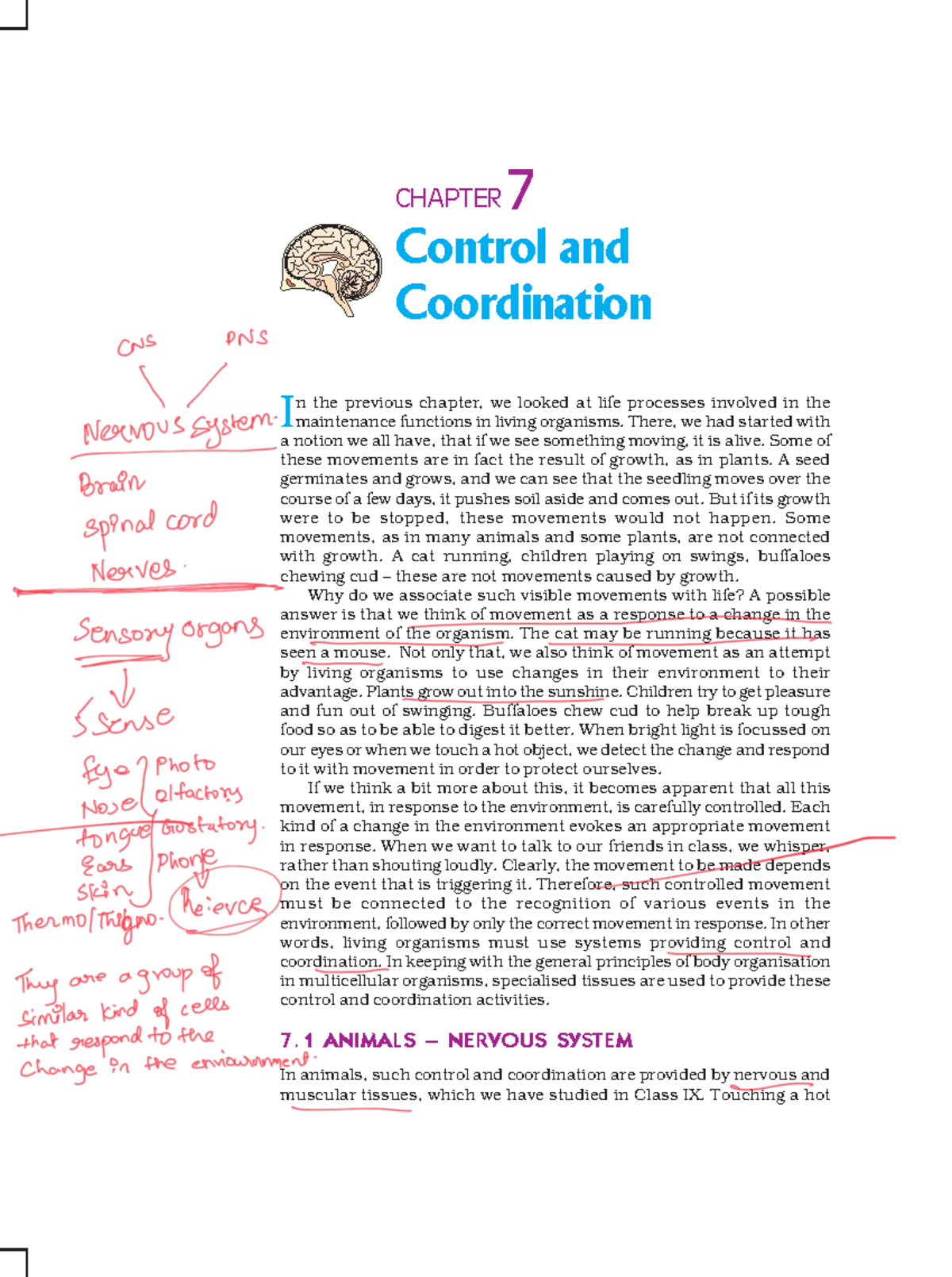 CHAPTER 7: Control and Coordination in Living Organisms - Studocu
