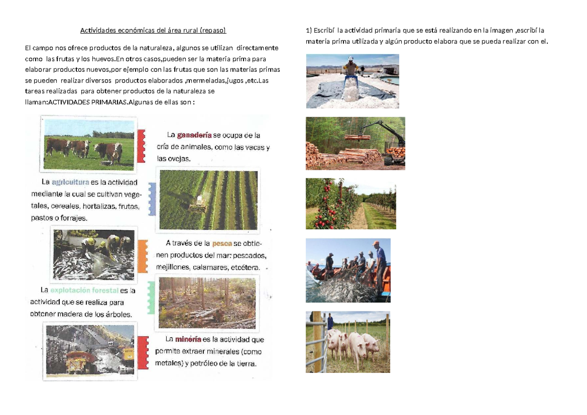 Actividades Económicas Rurales y Urbanas: Repaso Completo - Studocu