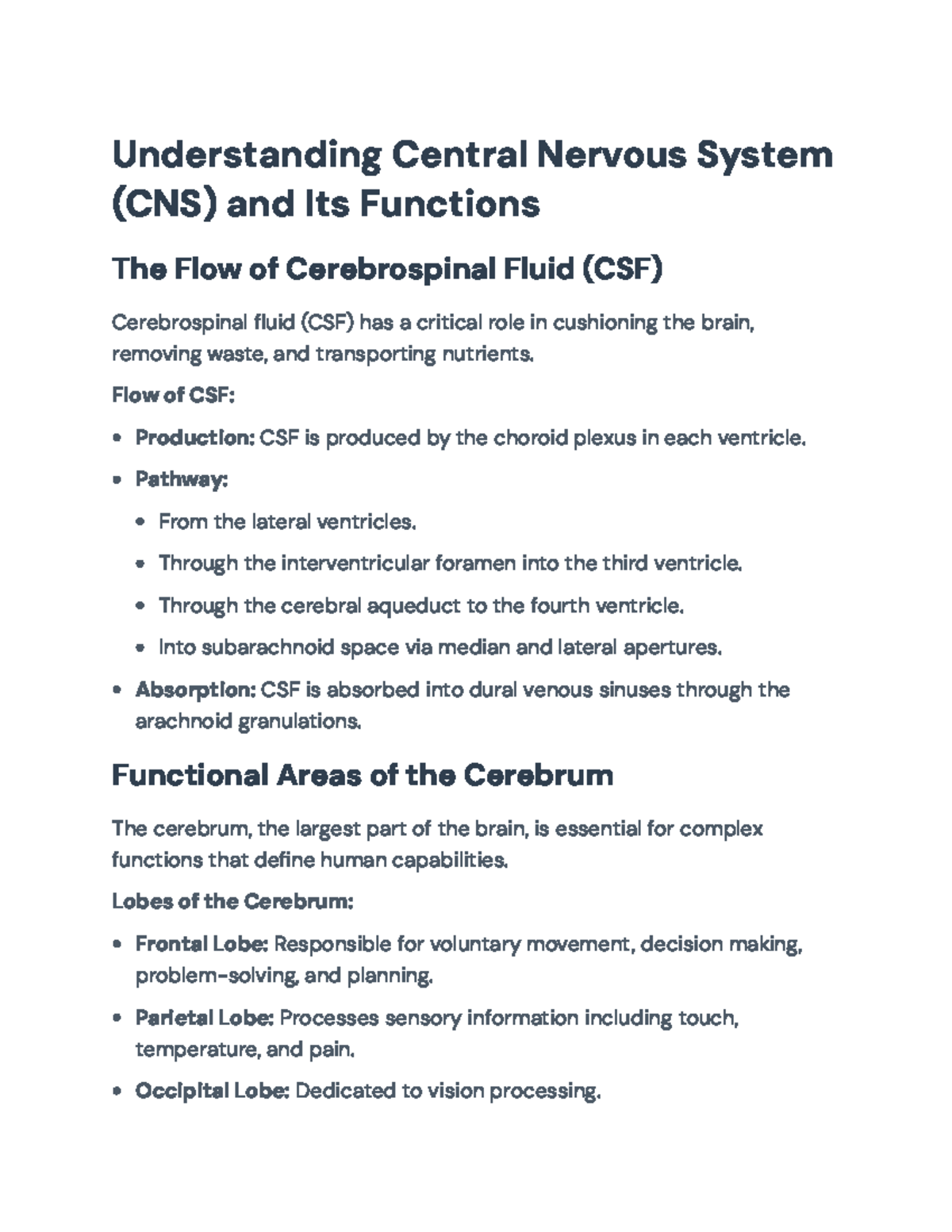 Understanding the Central Nervous System (CNS): Functions and ...