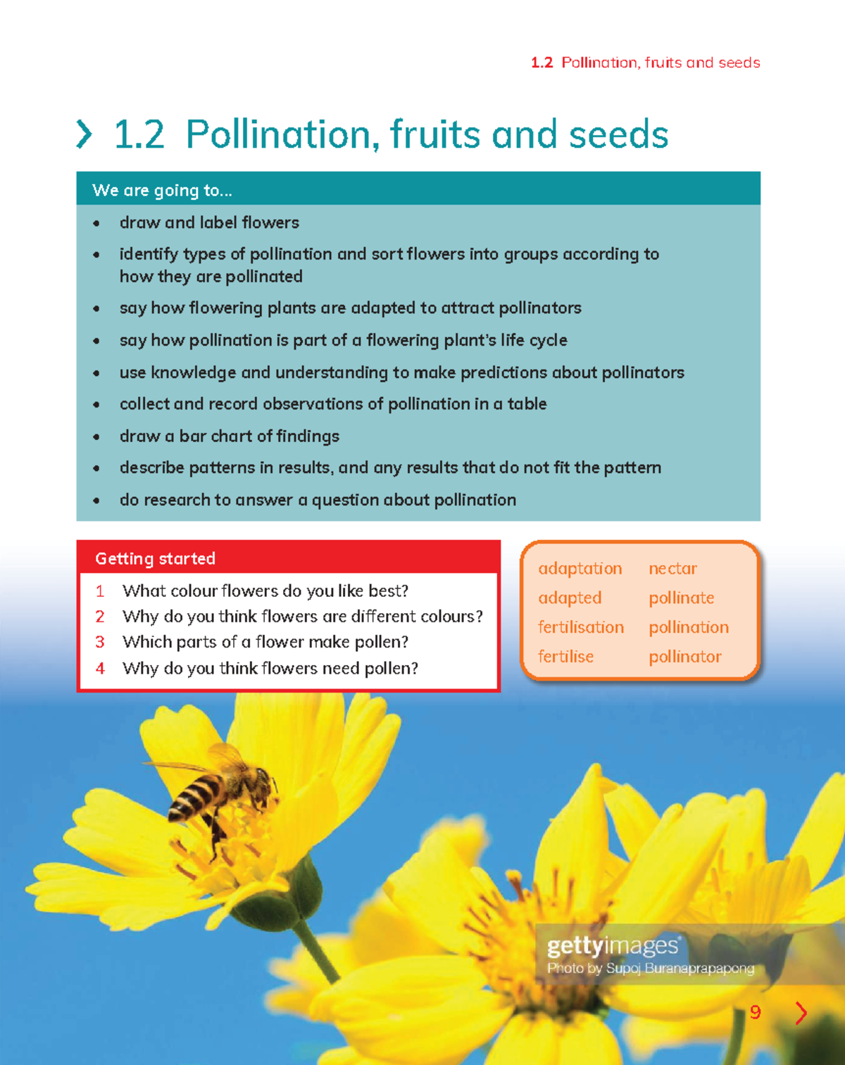 Unit 1 Science: Pollination, Fruits, and Seed Dispersal Insights - Studocu