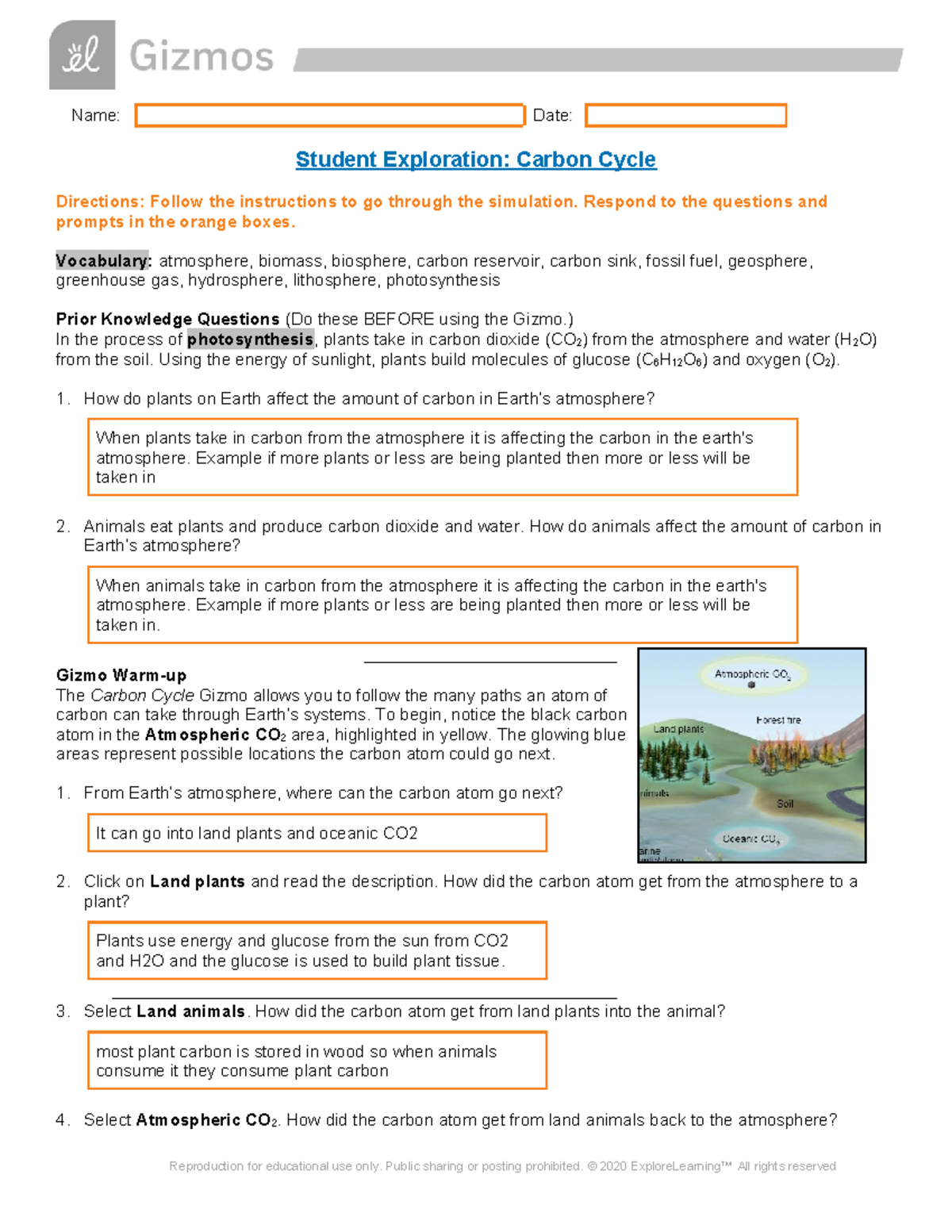 Copy of SE: Carbon Cycle Exploration and Human Impact Analysis - Studocu