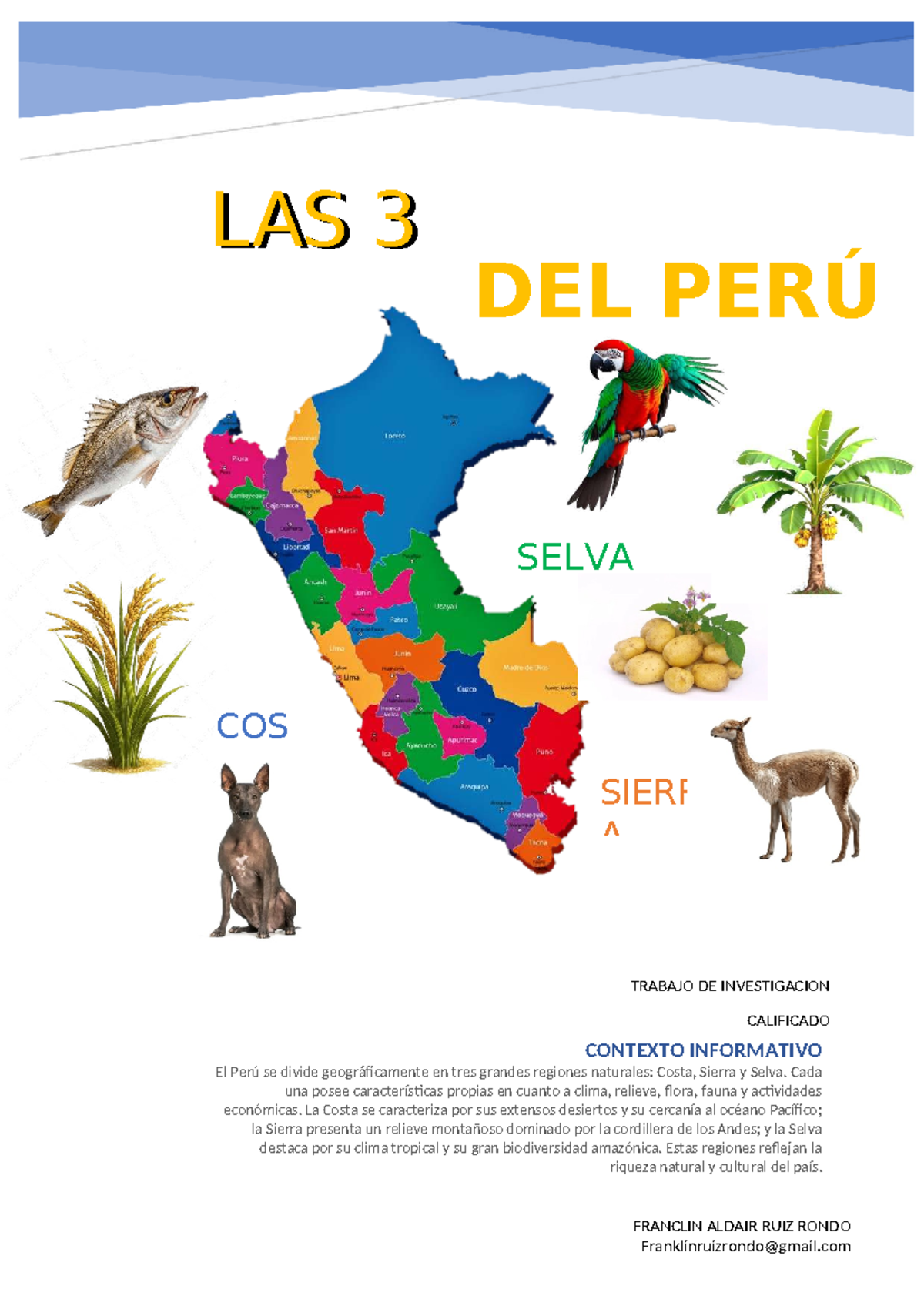 LAS 3 REGIONES DEL PERÚ: COSTA, SIERRA Y SELVA - TRABAJO DE INVESTIGACIÓN - Document Preview
