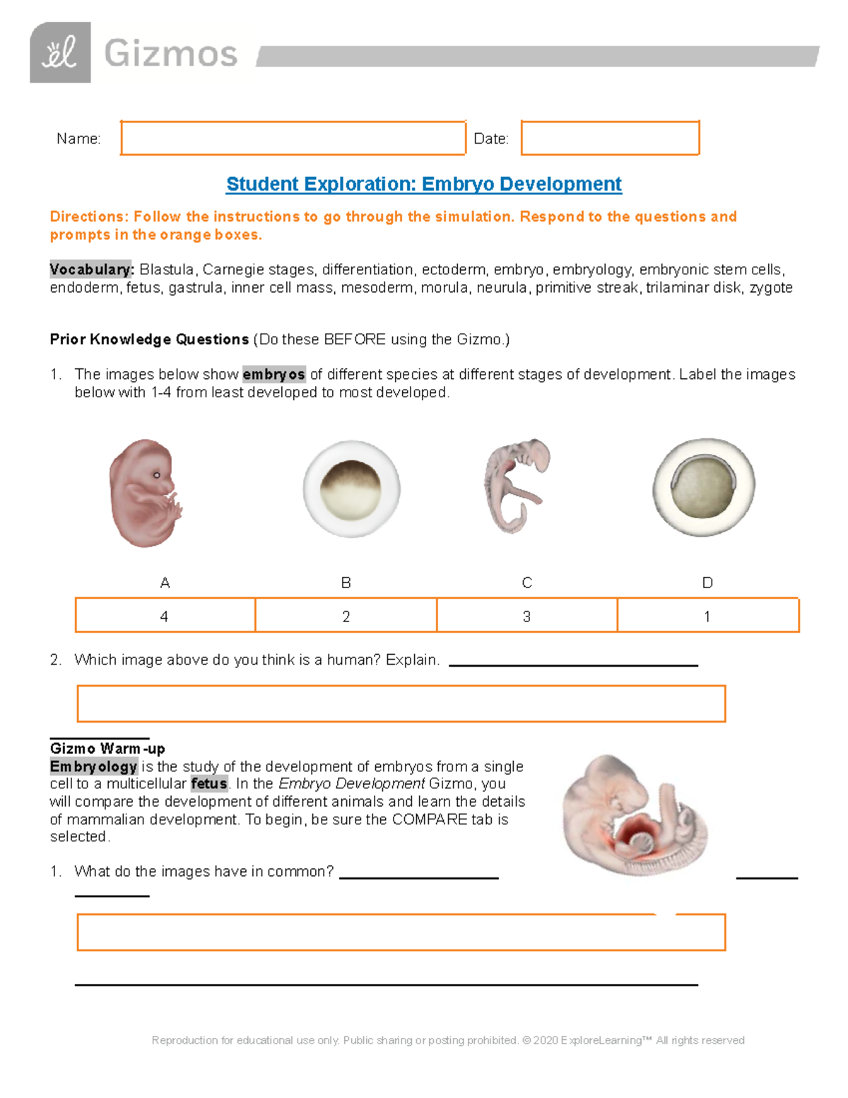 Embryology Exploration: Gizmo Simulation on Embryo Development - Studocu