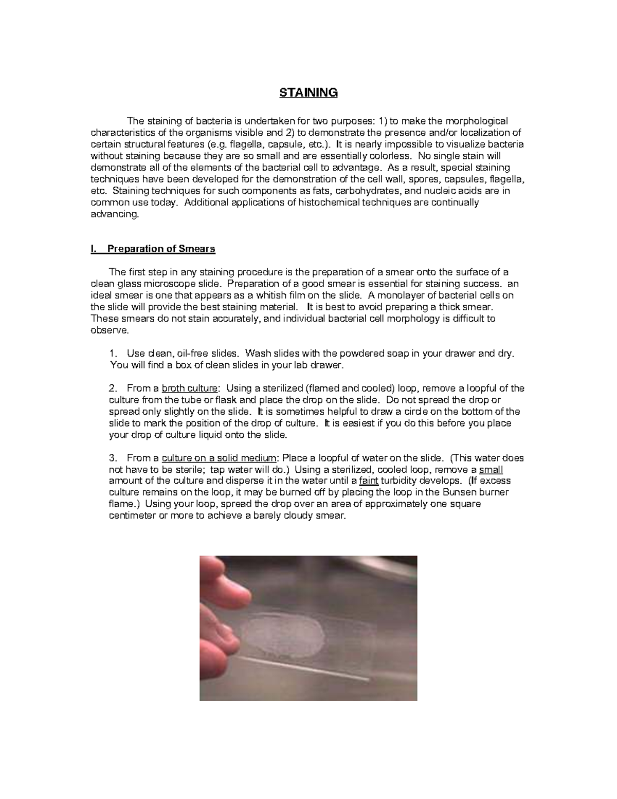 Staining Techniques for Bacteria: A Comprehensive Guide (Sum25) - Studocu