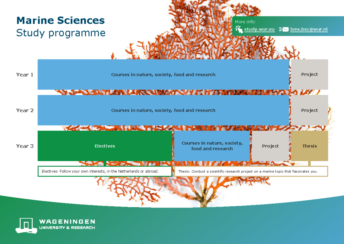 BMS 2024 Marine Sciences Study Programme Overview - Studeersnel