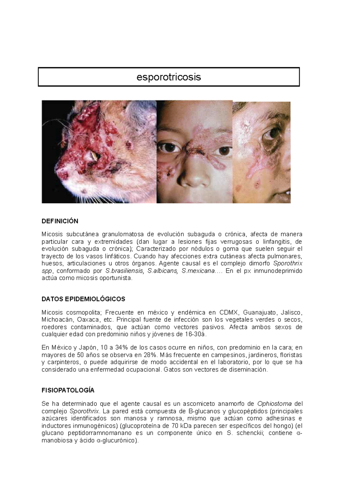 08-esporotricosis-definici-n-epidemiolog-a-y-tratamiento-studocu