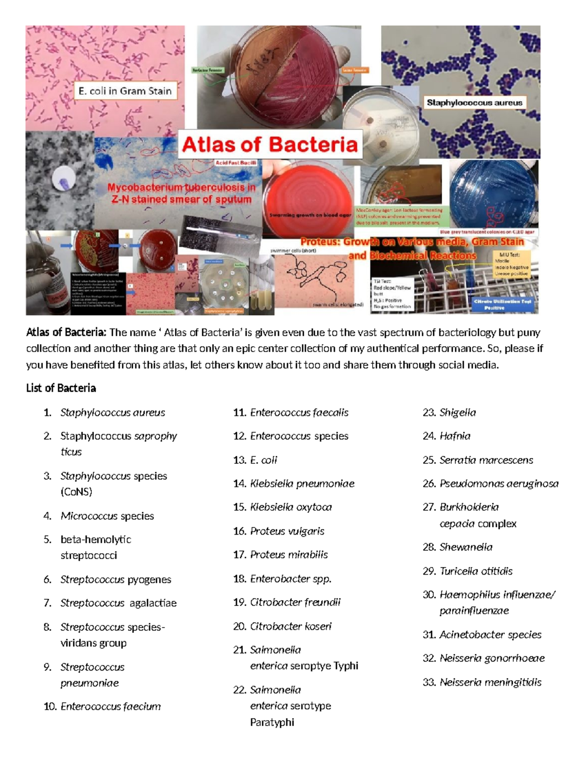 Atlas of Bacteria: Comprehensive Notes on Bacterial Identification ...