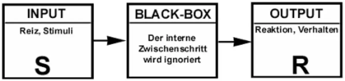 Theorien des Spracherwerbs: Behaviorismus, Interaktionismus und ...