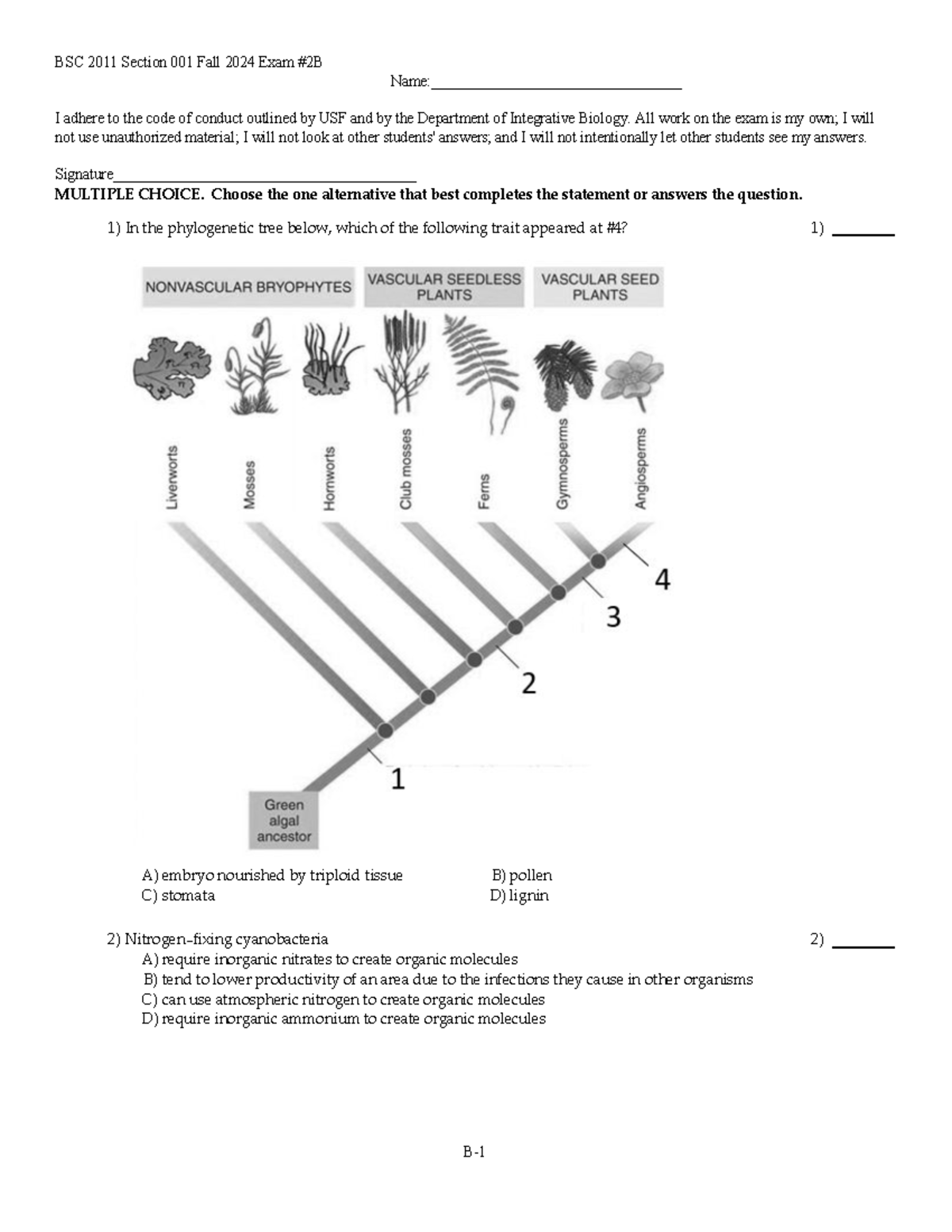 BSC 2011 Fall 2024 Final Exam 2B - Answer Sheet - Document Preview