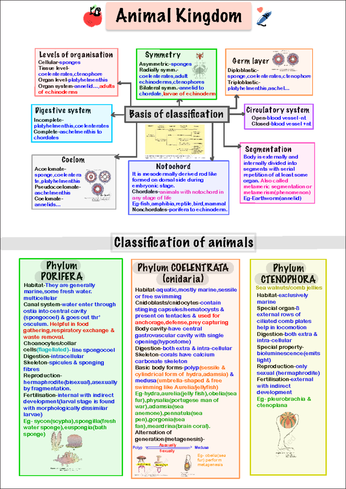 Animal Kingdom Classification Mind Map (Bio 101) - Studocu