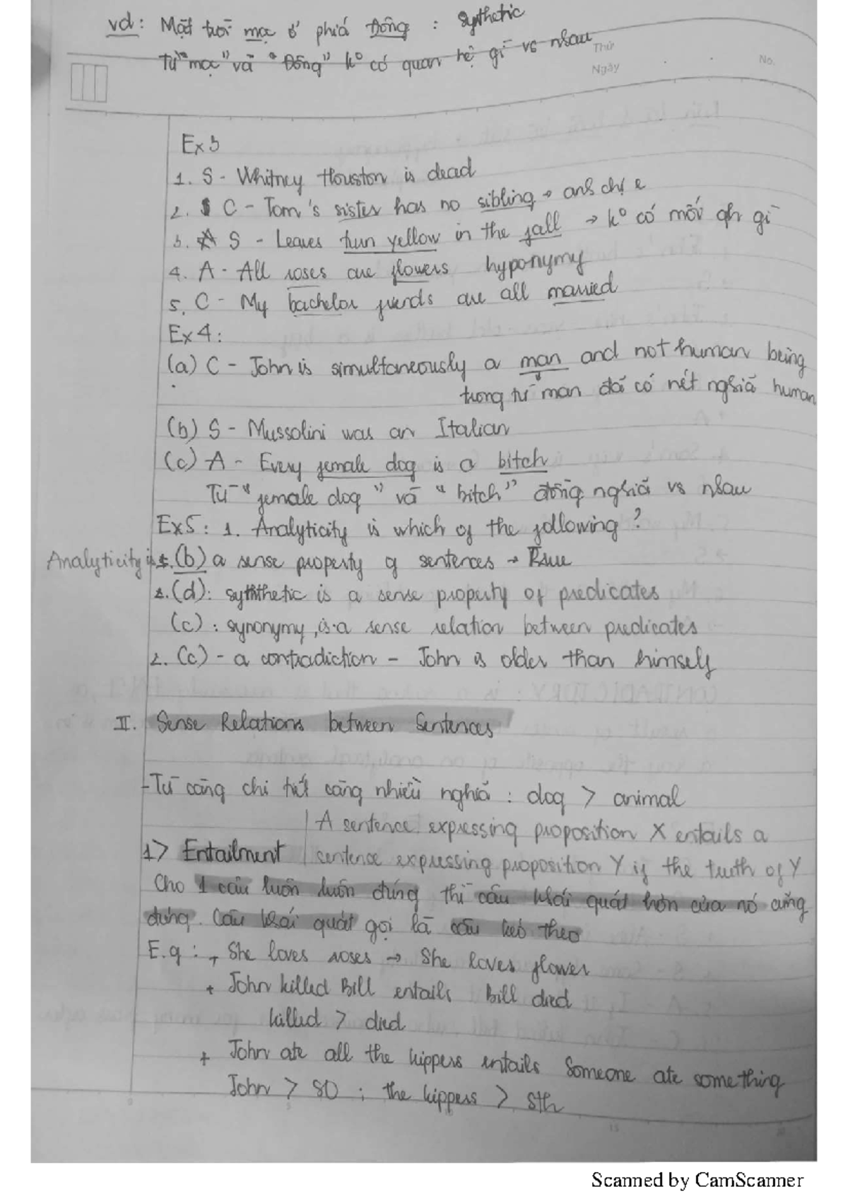 Semantics Notes: Understanding Sentence Meaning and Relations (Course ...