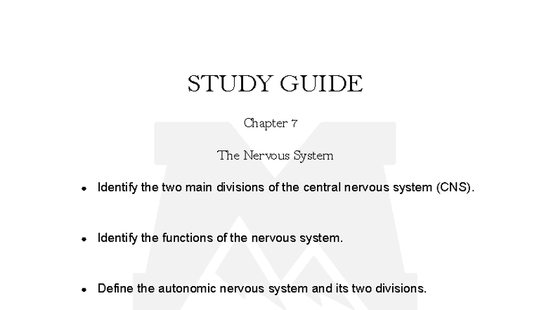 Chapter 7 Study Guide: The Nervous System Overview - Studocu
