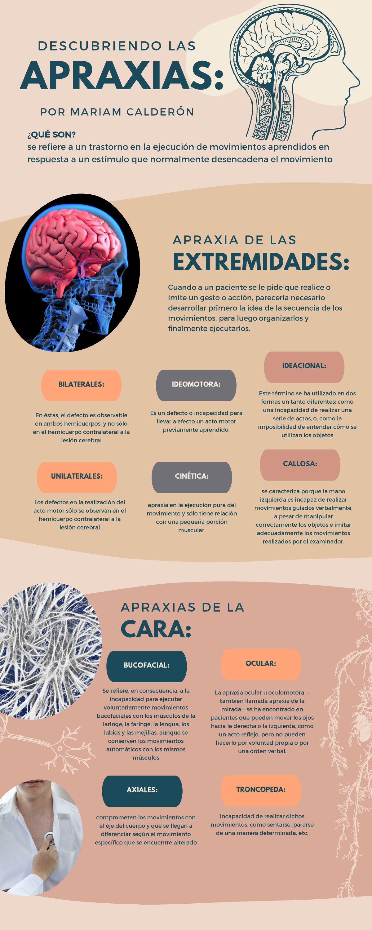 Apraxias: Estudio de Trastornos en la Ejecución de Movimientos - Studocu