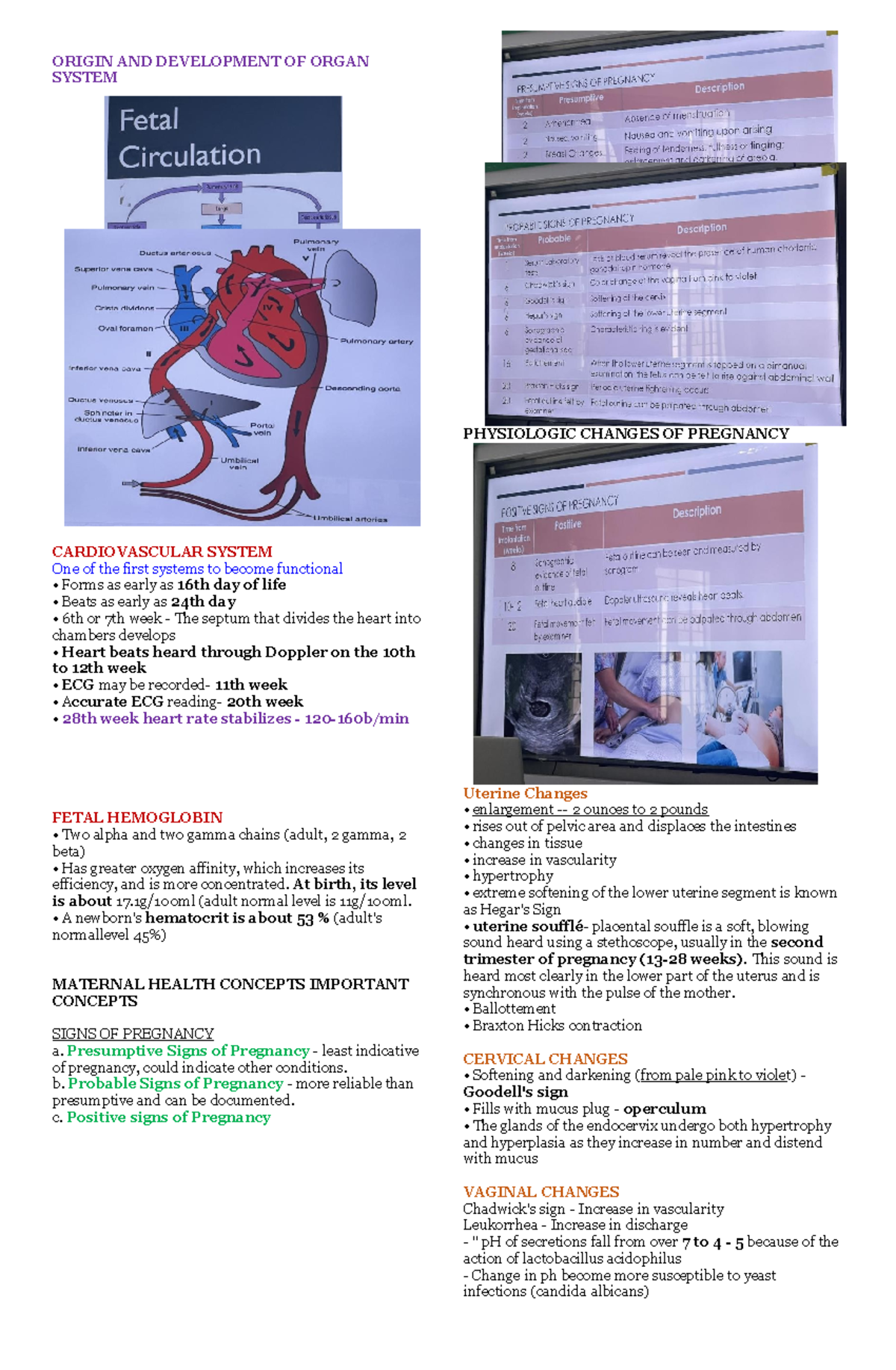 MCN - Notes on Physiological Changes in Pregnancy and Cardiac ...
