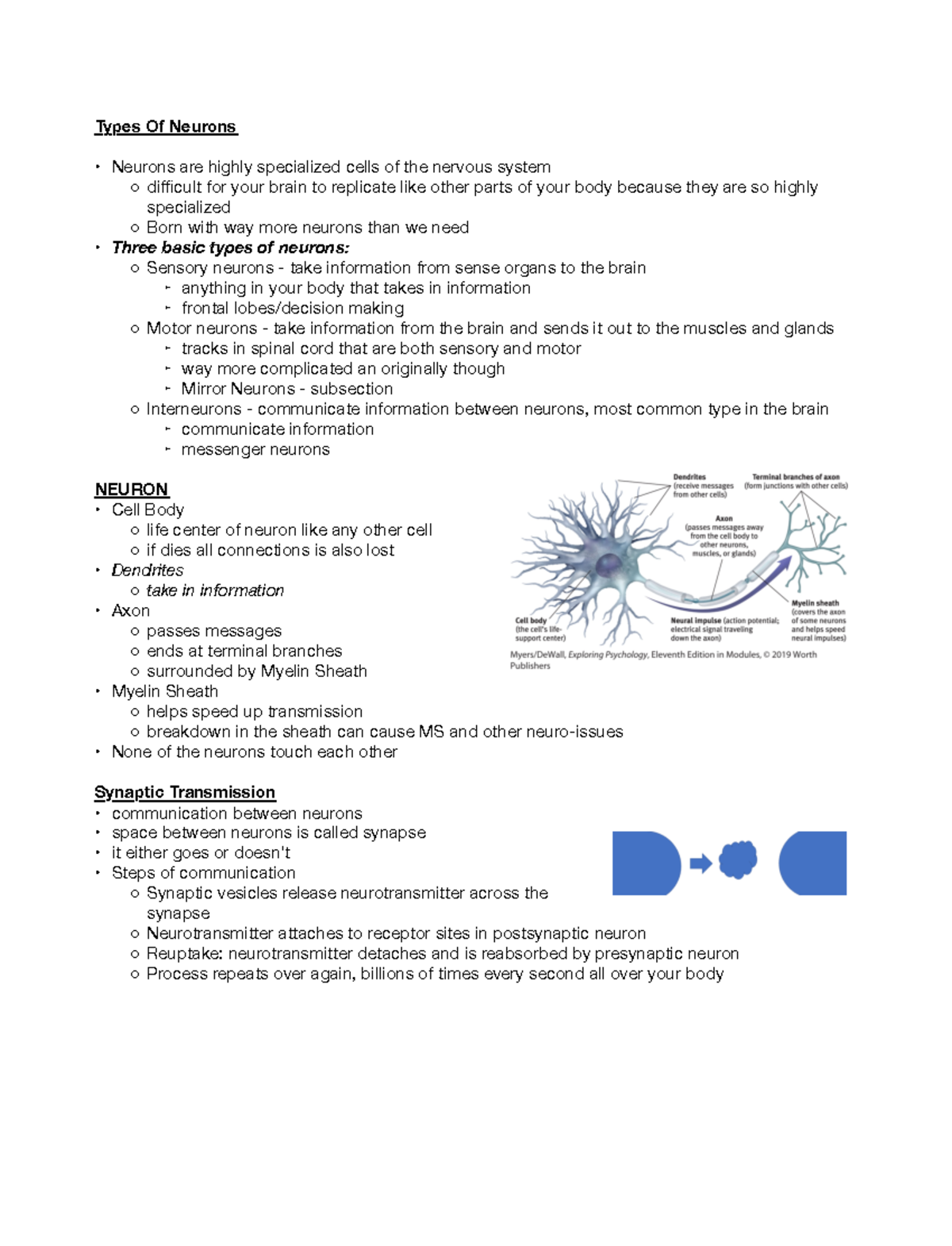 The Neural System: Types of Neurons and Synaptic Transmission - Dr ...