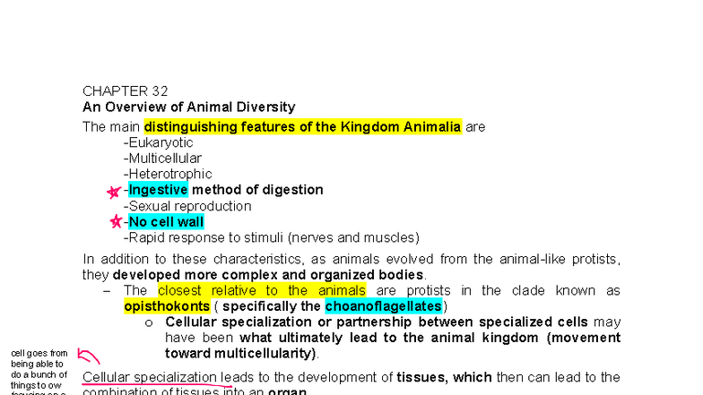 Chapter 32: Overview of Animal Diversity - BIOL 1202 Final Exam Notes ...