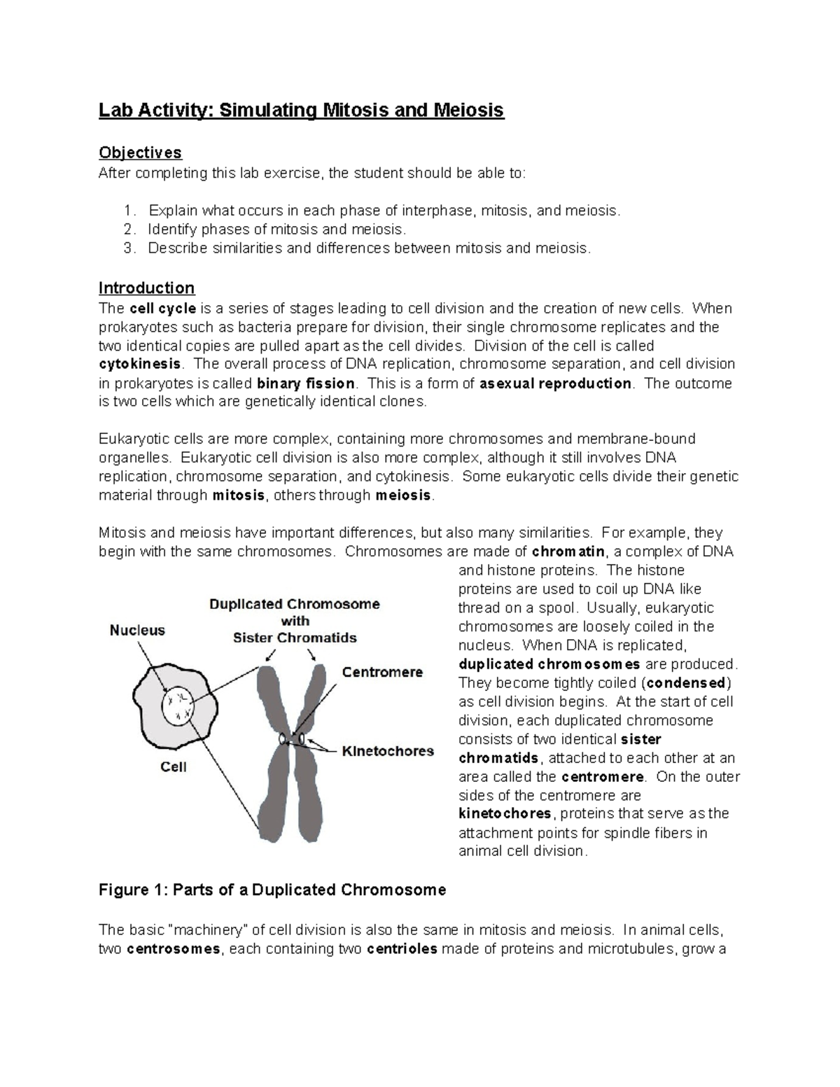 Simulating Mitosis and Meiosis - Lab Activity: Simulating Mitosis 