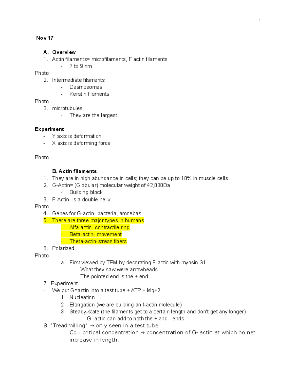Cell Biology Exam 4 Study Notes: Actin, Neurons, and Cell Cycle - Studocu