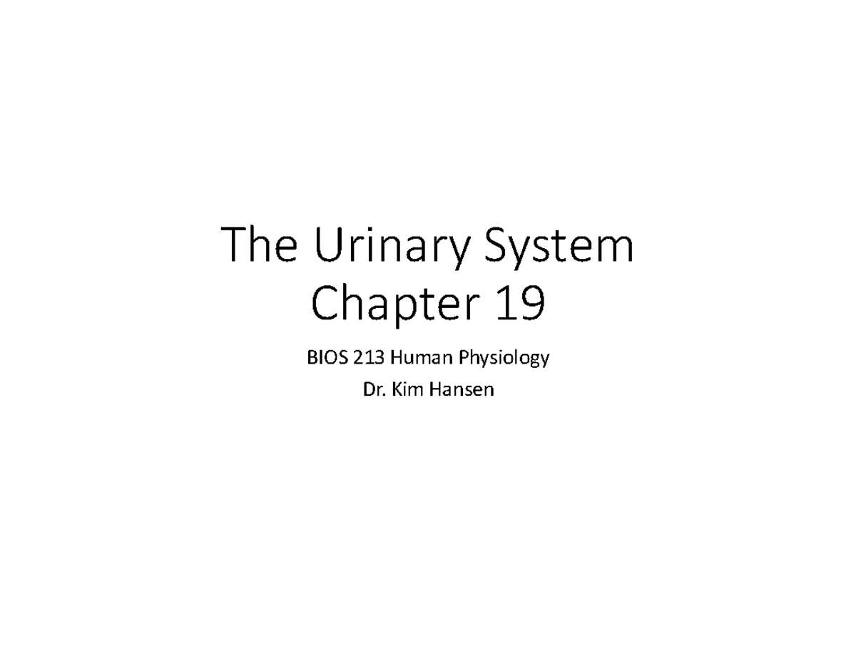 Chapter 19: Overview of the Urinary System - BIOS 213 Human Physiology ...