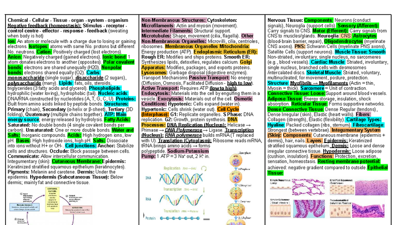 Memory Aid for HUBS1401: Homeostasis, Cells, Tissues, and Organ Systems ...