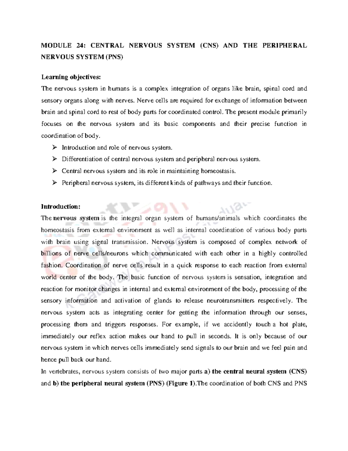 MODULE 24: CNS & PNS Overview and Functions - Studocu
