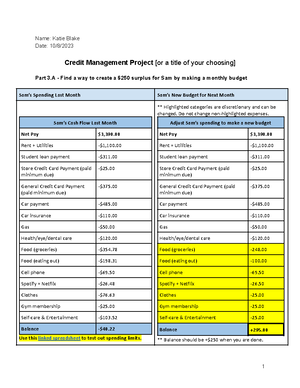 Copy of Credit Project Template - Lucy Lyons 10/8/ Credit Management ...